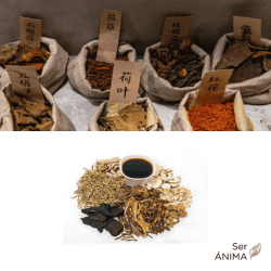 Fitoterapia China