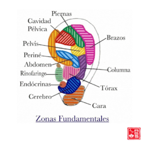 Aurículoterapia